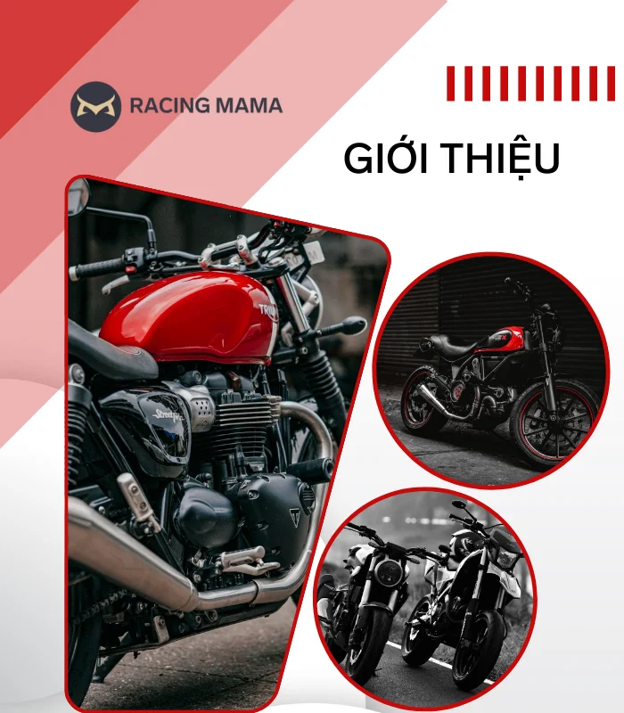 Giới thiệu - Phụ tùng đồ chơi xe máy chính hãng